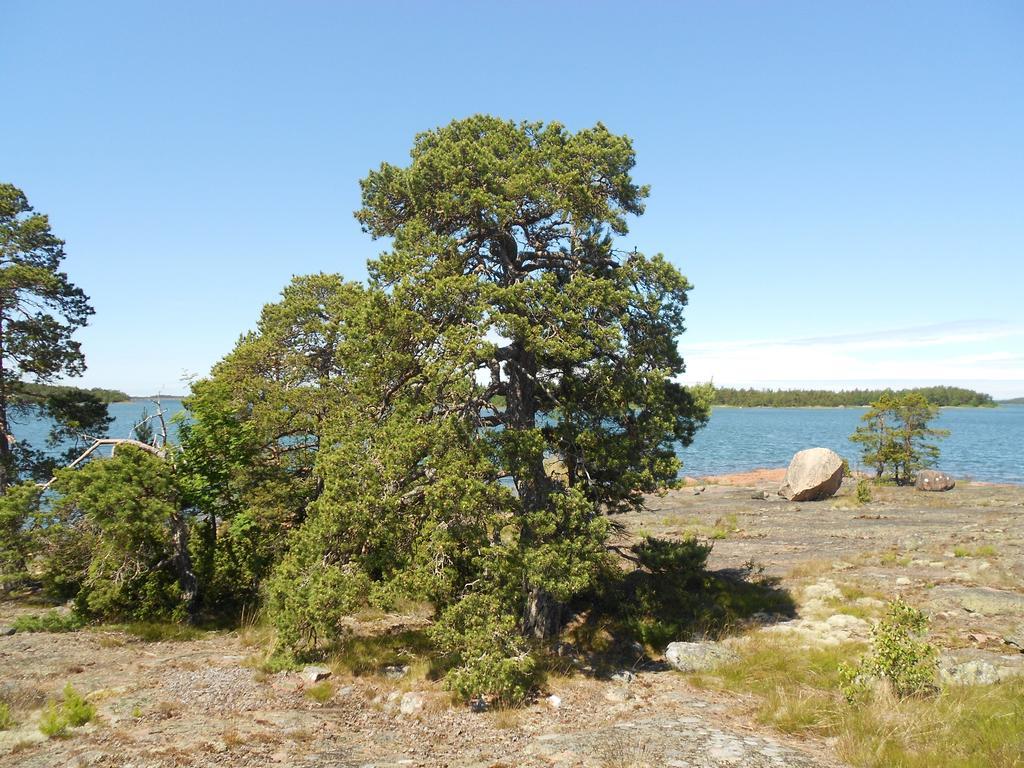 Tornvillan Hammarland Buitenkant foto